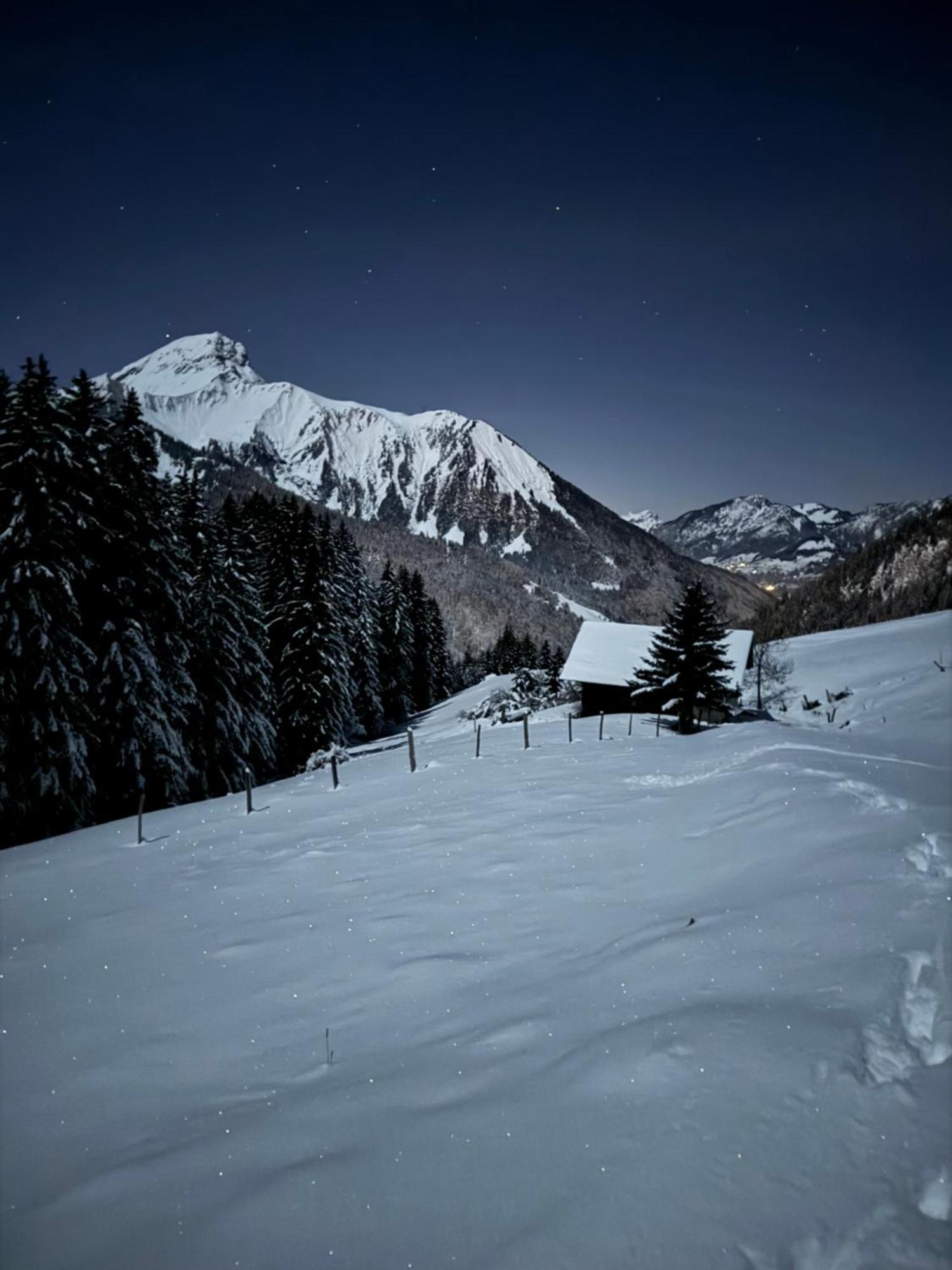 Charming, Cosy Chalet Nestled In A Breathtaking Surrounding With Spectacular, Stunning Mountain Views La Chapelle-d'Abondance Exterior photo